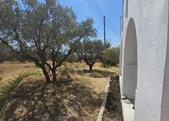 Blue And White View *